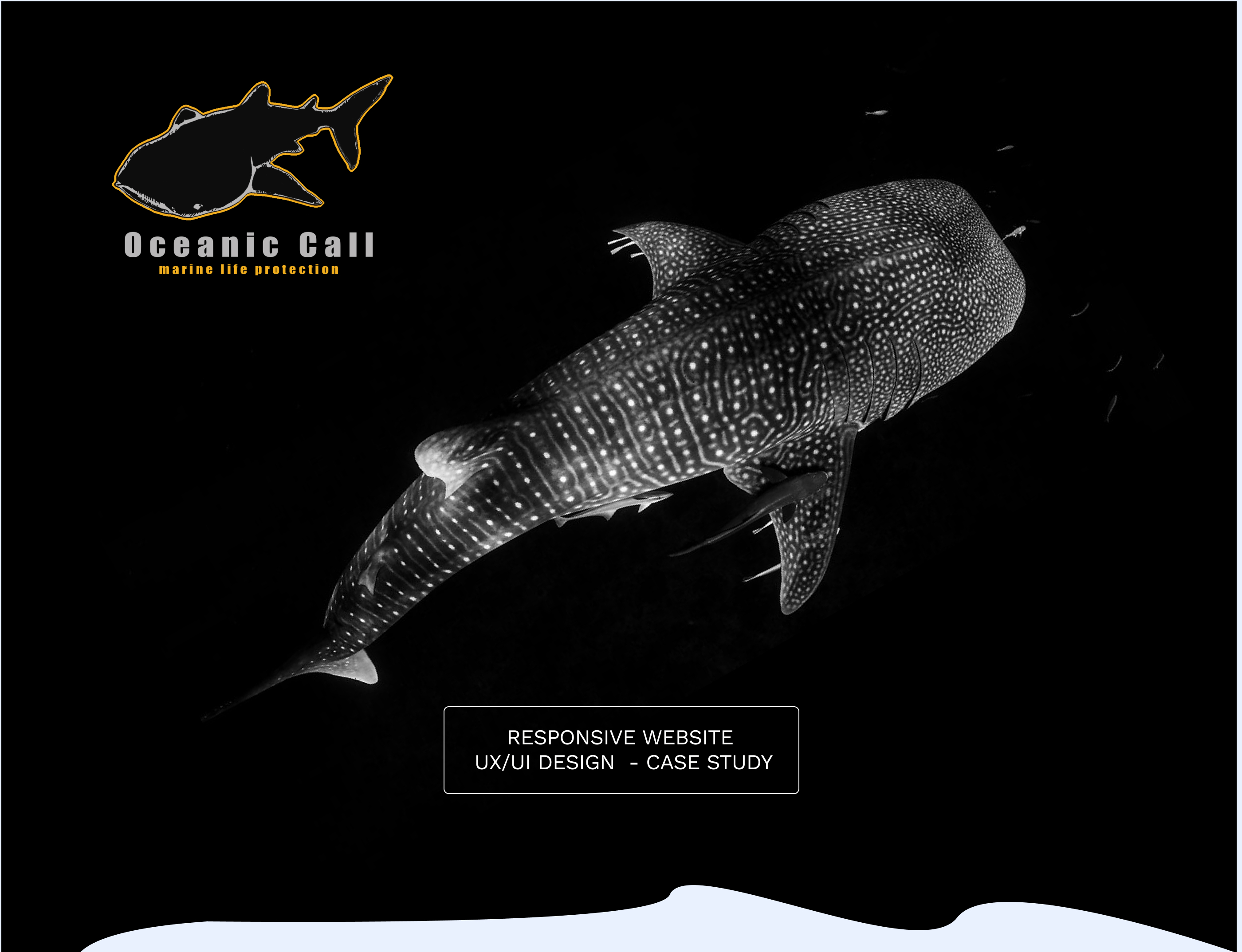 Descripción de la slide 1