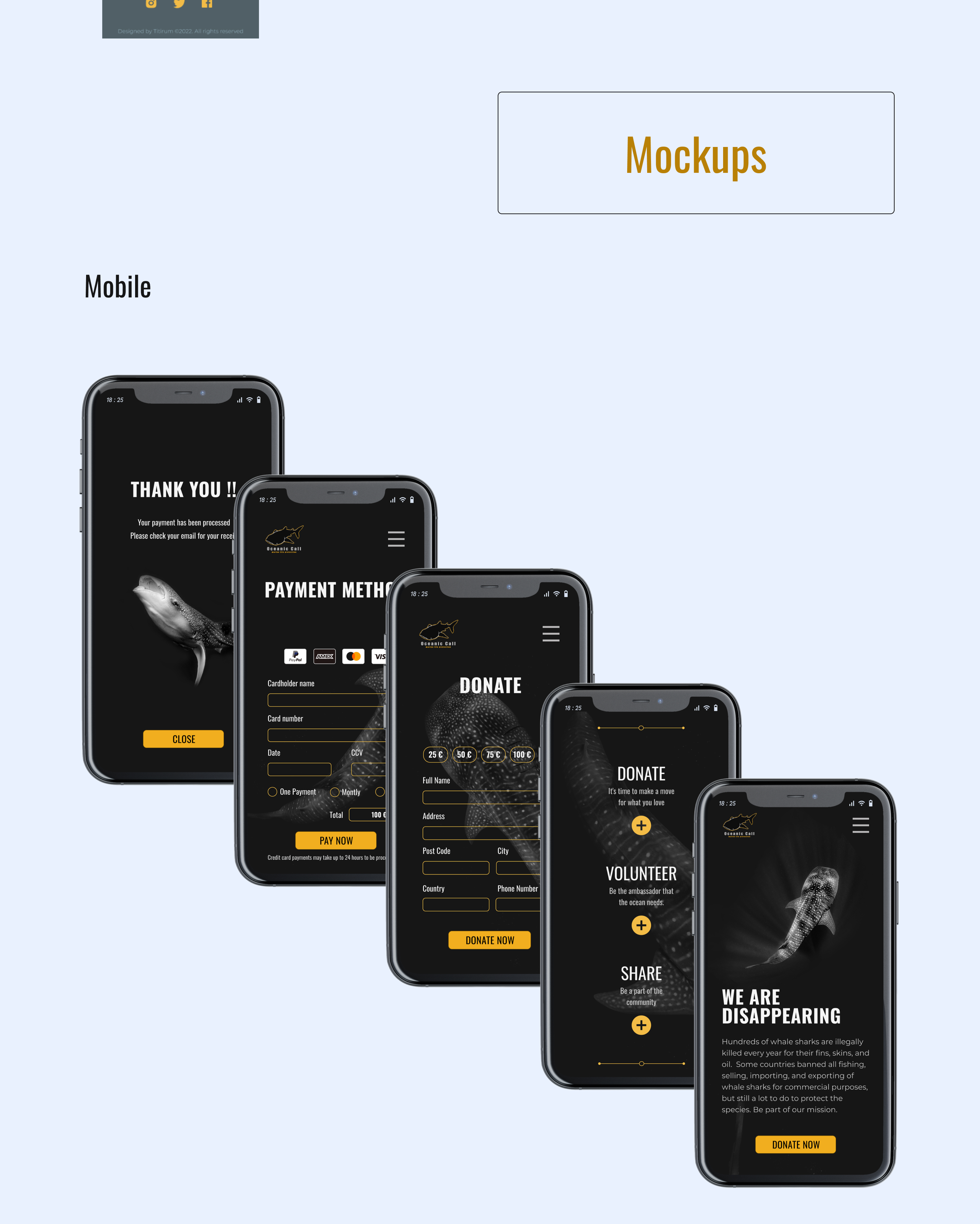 Descripción de la slide 2