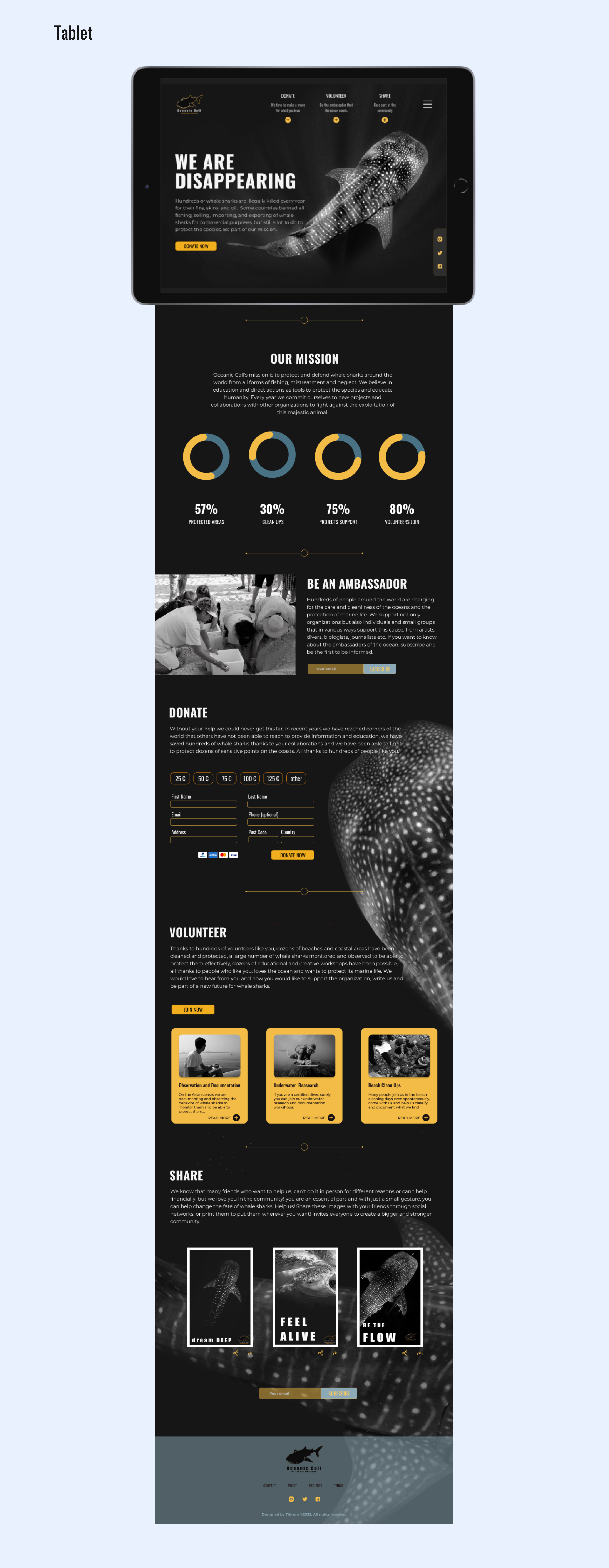 Descripción de la slide 2